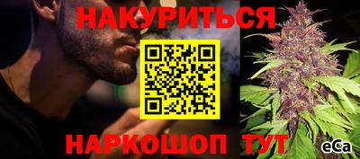 a pvp Заводоуковск