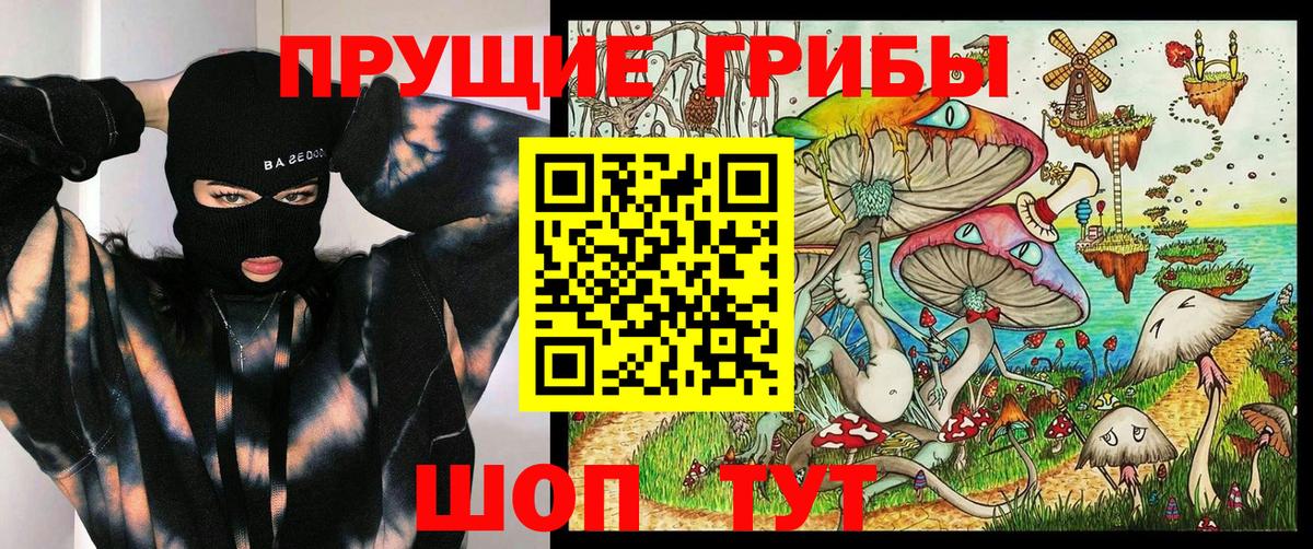 Псилоцибиновые грибы Cubensis Минусинск