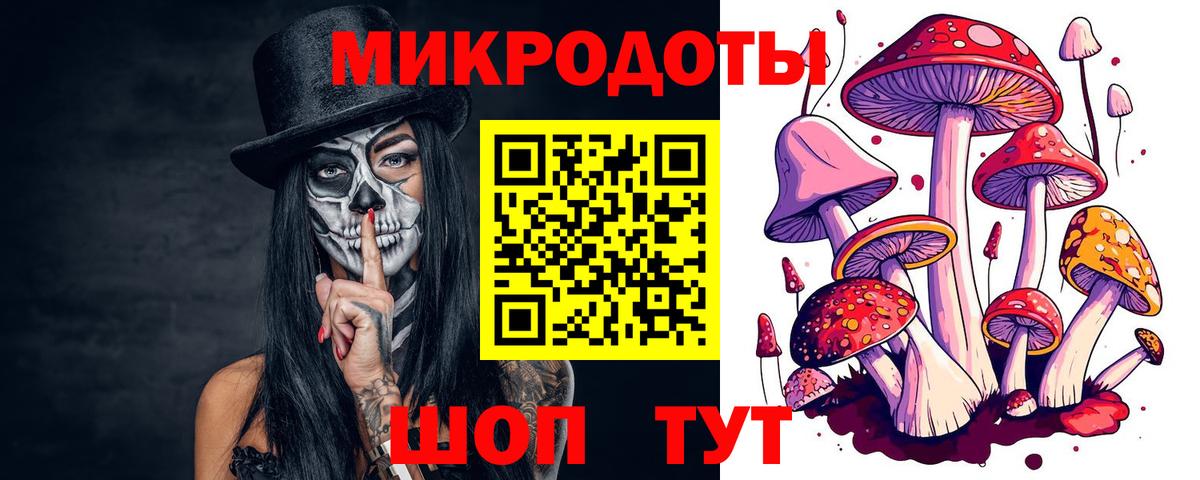 Псилоцибиновые грибы MAGIC MUSHROOMS  Вход с VPN  Минусинск 